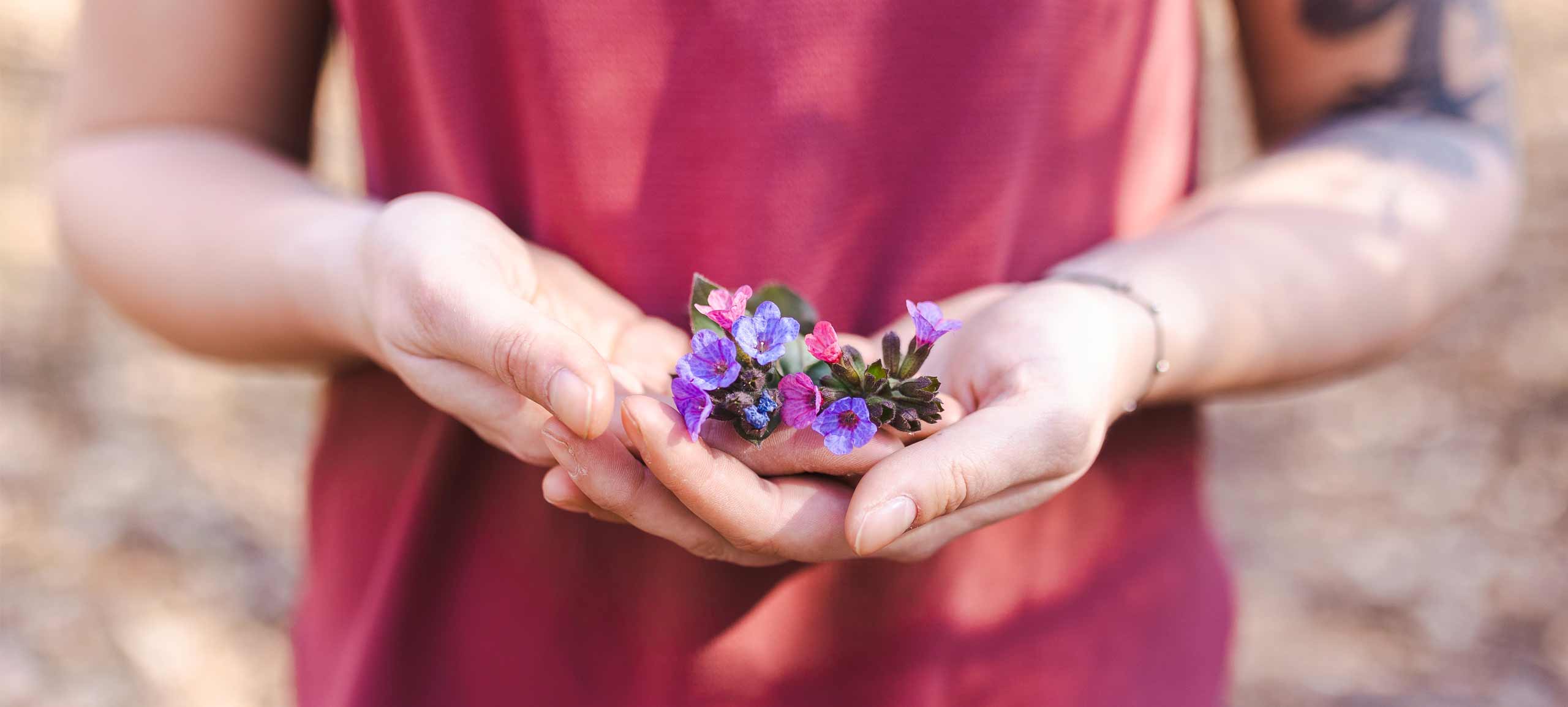 Tamara_Huber_Startseite_HG_Blumen Blumen in Handfläche Psychotherapie Tamara Huber